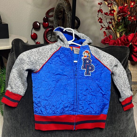Paw Patrol Nickelodeon Zip Up Toddler Hoodie Jacket Size 3T - Picture 1 of 9